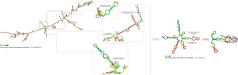 prostate specific rna aptamer promising nucleic acid antibody