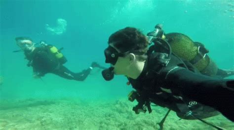 Snorkeling Selfie Friends GIFDB