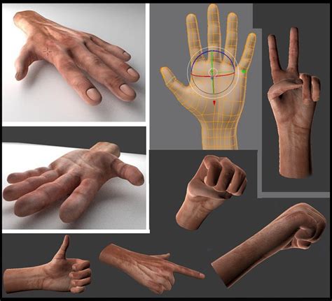 Best Place To Find A Free Rigged Hand Modeling Blender Artists