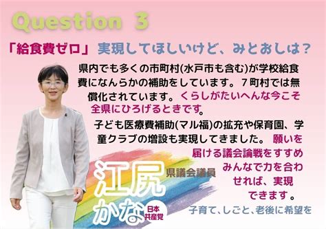 江尻かなの訴え Kanaweb 日本共産党 茨城県議 江尻かな Official Website