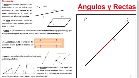 Qué diferencia hay entre una línea recta un rayo y un segmento