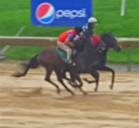 Pin by Jessica Novak on Delaware park | Delaware park, Horse racing