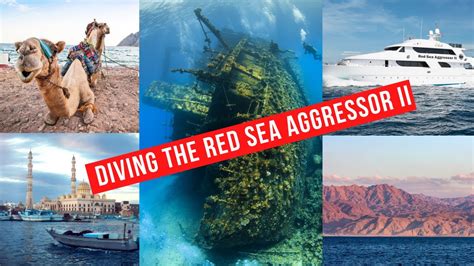 Diving The Red Sea Aggressor Ii Youtube