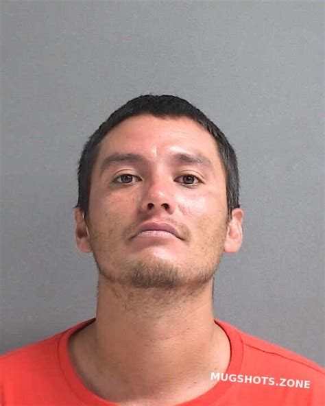 Nava Cresencio James Volusia County Mugshots Zone