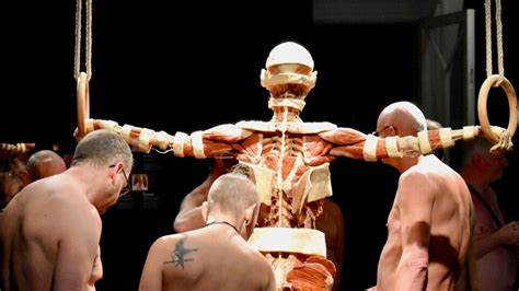 Naturisten Bezoeken Body Worlds Expo In Brugge Net Als Hier Heeft