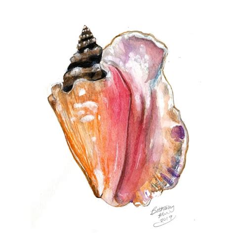 Conch Shell Art - Etsy