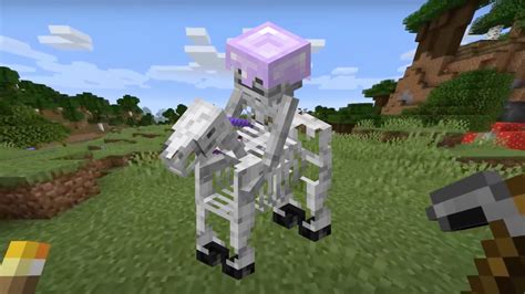 How To Find The Skeleton Horseman In Minecraft - Touch, Tap, Play