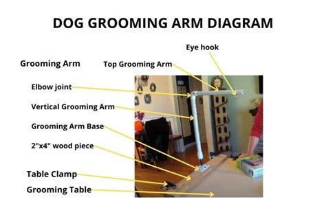 Your Guide On How To Make A DIY Dog Grooming Station At Home