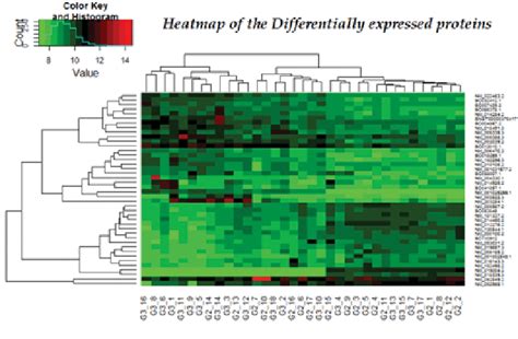 A3 Represents Heat Maps Of The 42 Differentially Expressed Proteins Download Scientific Diagram