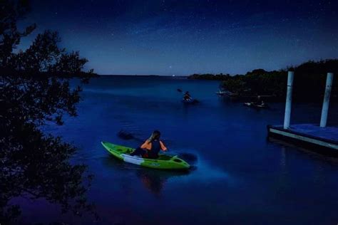 This Florida River Near Orlando Illuminates At Night