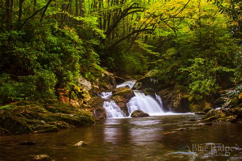 Fall Foliage 2018 Forecast and Guide - Blue Ridge Mountain Life