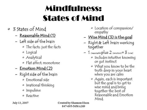 3 States Of Mind In Dbt Skills