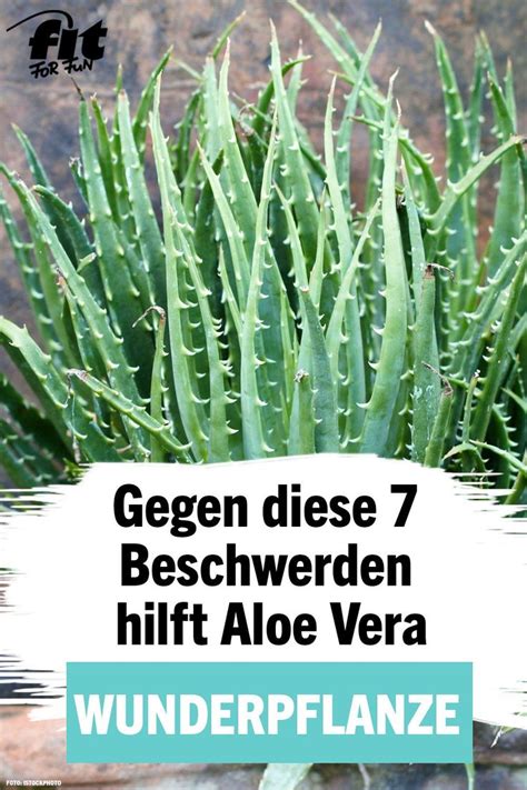 Aloe Vera Positive Wirkung Auf Haut Und Gesundheit Aloe Vera Pflanze