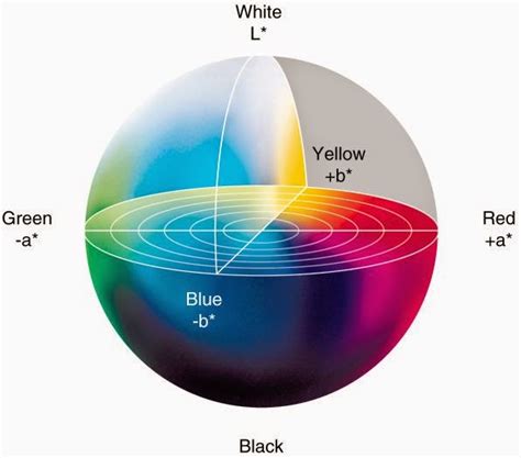 ทฤษฎีสีของระบบสี Lab Printing Technology