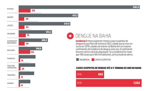 Casos De Dengue Crescem 134 Na Bahia Feira De Santana Vive Surto