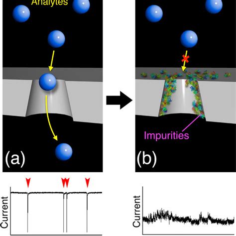 Color Online Illustration Of Resistive Pulse Sensing Measurements