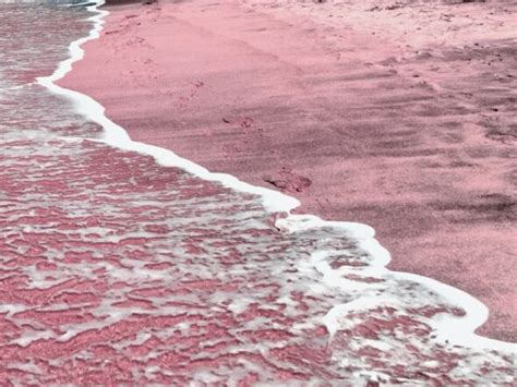 15 Pink Sand Beaches in 11 Countries with Map - Eco Lodges Anywhere