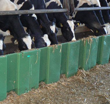 Cattle Feed Trough Plans