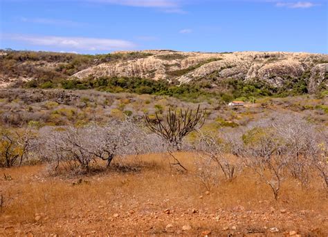 ONU lança curso gratuito sobre mudanças climáticas em português e