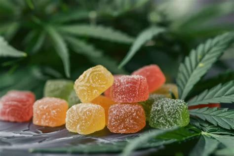 Ultimate Guide To Cannabis Gummy Recipe With Gelatin