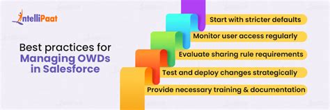 Organization Wide Default Owd In Salesforce Intellipaat