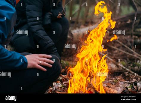 Man Warms His Hands On Fire Burning Wood At Evening In The Forest