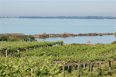 Carácter gallego los vinos de las Rias Baixas CataDelVino