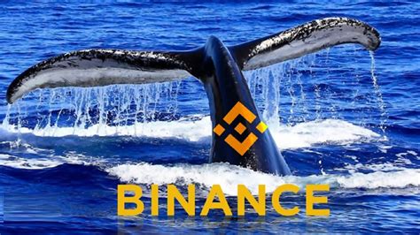 Dev Balinalar Bu Altcoin Varlıklarını Binance e Boşalttı