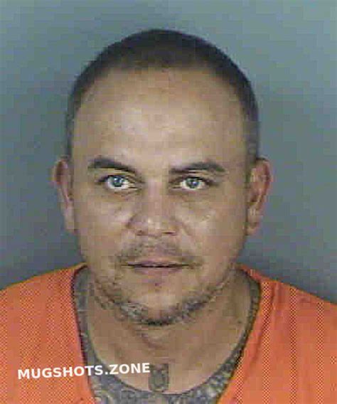 Gonzalez Joel Collier County Mugshots Zone