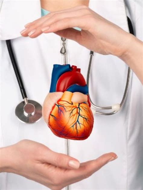 दिल के बारे में 8 बेहतरीन रोचक तथ्य 8 Amazing Facts About The Heart