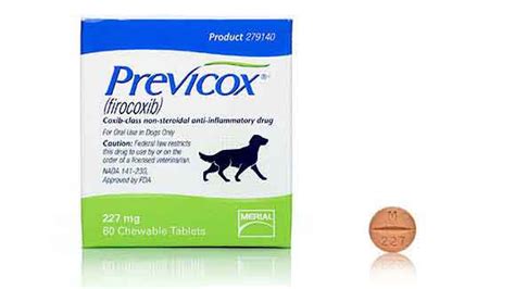 Previcox For Dogs Firocoxib Pain And Inflammation Medication