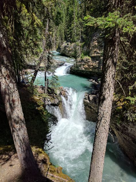 Johnston Canyon Banff National Park Access Alert Grazy Goat