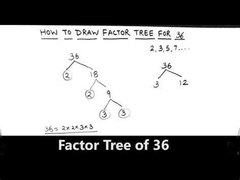 How To Draw Factor Tree Of 36 Factor Tree Method Of Prime