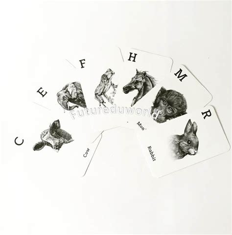 Animal 4D cards and Animal 4D Food Cards Combo, Augmented Reality Flashcards | eBay