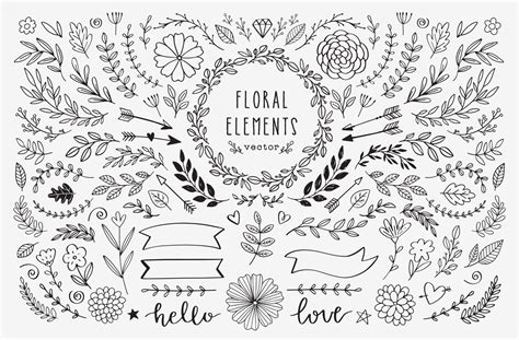 Vector Hand Drawn Design Elements Vintage Rustic Floral Illustrations