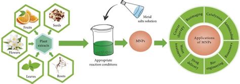 A Schematic Diagram Representing The Green Synthesis Of Nanomaterials