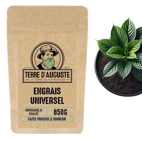 Terre D Auguste Engrais Universel En Granul S Pour Toutes Plantes