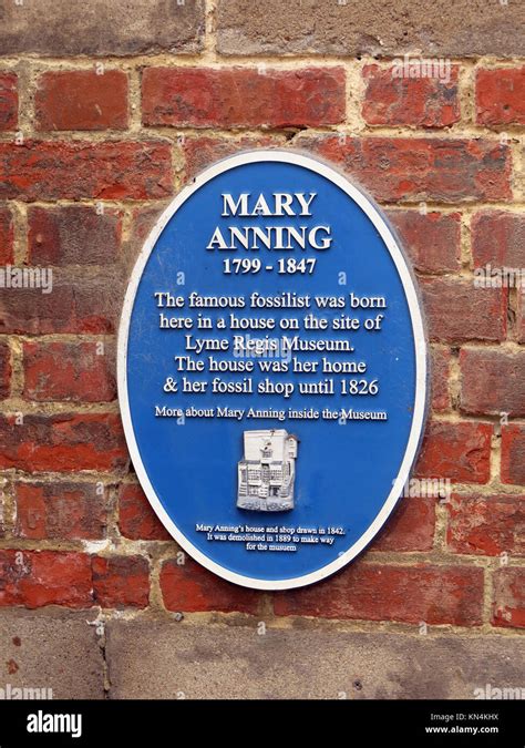 A Blue Plaque Commemorating Mary Anning A Famous Fossil Hunter In Lyme