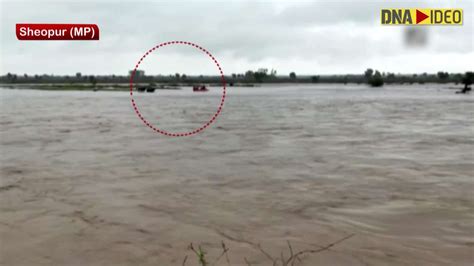 Watch Sdrf Team Rescues People Stranded In Flood Hit Areas Of Mps Sheopur