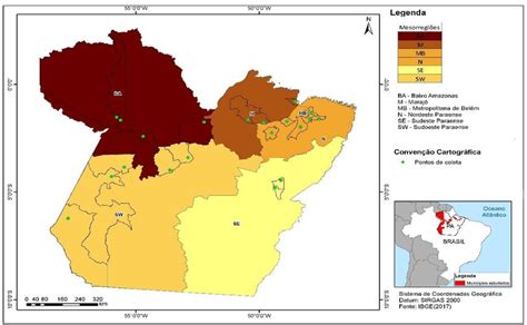 Mapa Do Estado Do Pará Com Mesorregiões Delimitadas Download