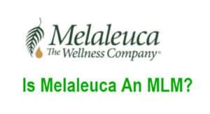 Is Melaleuca An Mlm Or A Pyramid Scheme Sick Of The Boss