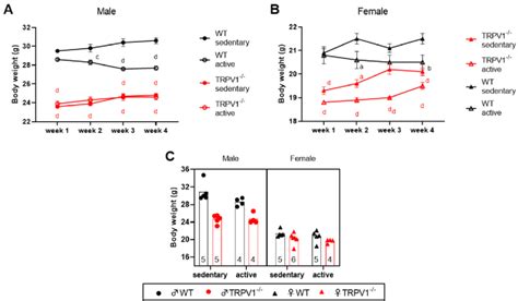 Body Weight In The Different Mouse Groups Ab Body Weight Was