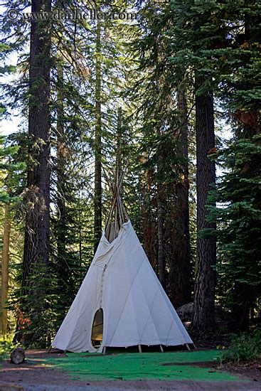 Tee Pee In Woods