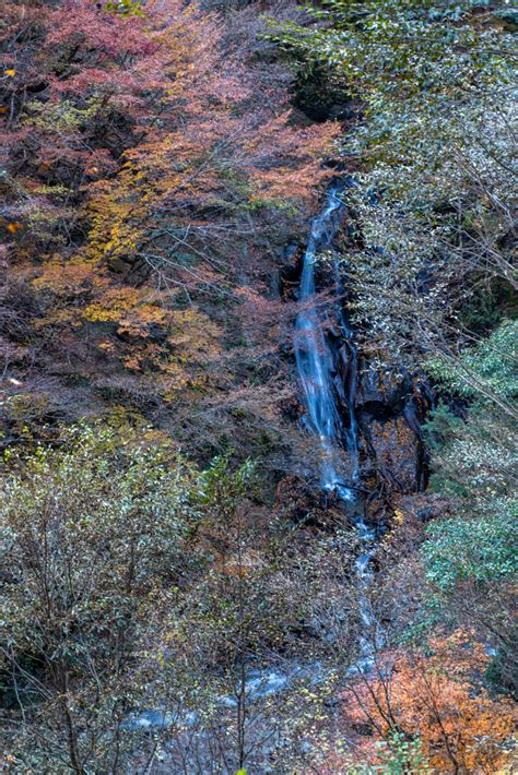 西沢渓谷の紅葉2 吉野梅郷写真館