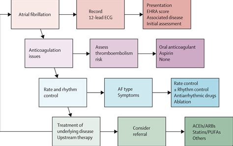 Atrial Fibrillation The Lancet