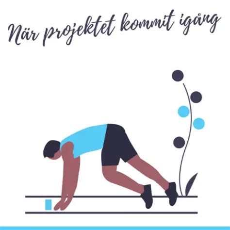 Projektledare Roller Ansvar Kompetenser Komplett Guide