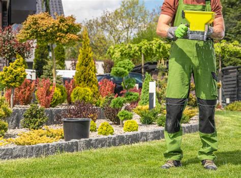 Achieving The Perfect Lawn A Guide To Spring Lawn Care In Houston TX