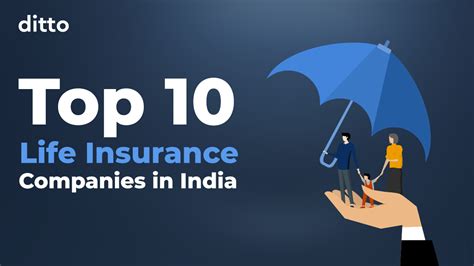 Top 10 Leading Life Insurance Companies In India 2024 Ditto