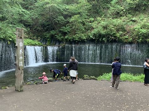 白糸の滝 軽井沢 幅70mの水のカーテン 日本夜景遺産 ライトアップがきれい！ 目の前にバス停あり どこでもgo