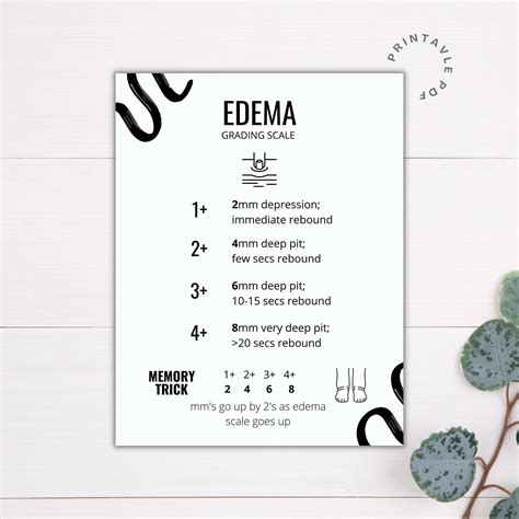 Edema Grading Scale Printable Nursing Printable Nursing Etsy Israel